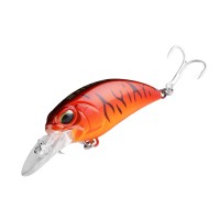 Asinia Monster Fatty 8A 65F