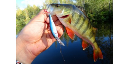 <Як і яку рибу ловити навесні