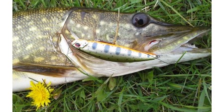 <Як ловити щуку на воблер