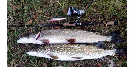 <Як зловити щуку