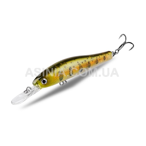 Воблер Asinia Zip Small 65 MR-S колір C