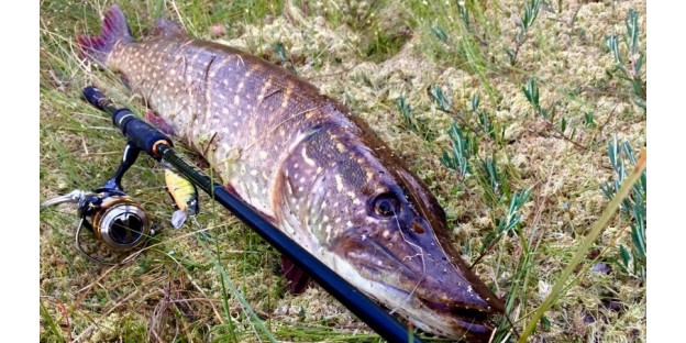 Воблери для щуки