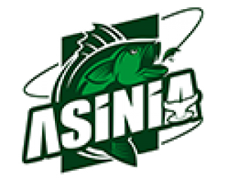 Приманки ASINIA